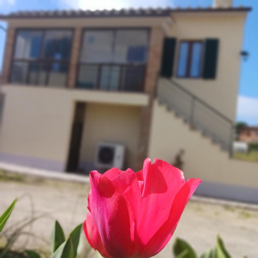 蒙蒂西亚诺Casa Di Zio别墅 外观 照片