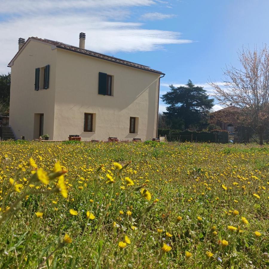 蒙蒂西亚诺Casa Di Zio别墅 外观 照片